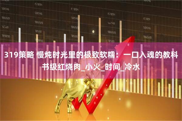 319策略 慢炖时光里的极致软糯：一口入魂的教科书级红烧肉_小火_时间_冷水