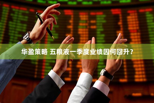 华盈策略 五粮液一季度业绩因何回升？